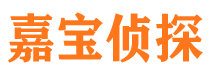 中站市调查公司